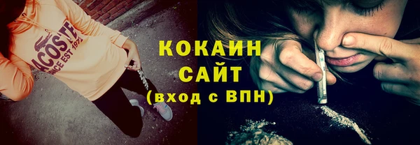 прущие грибы Баксан