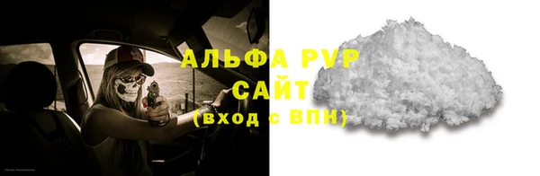 прущие грибы Баксан