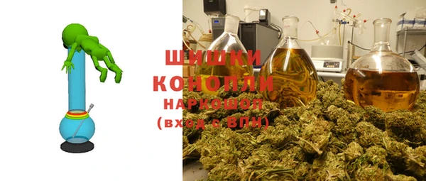 прущие грибы Баксан
