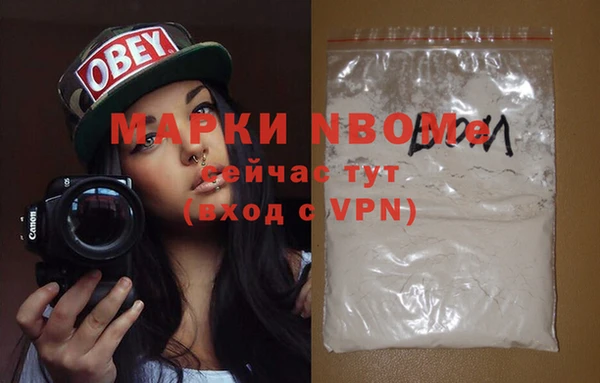 прущие грибы Баксан