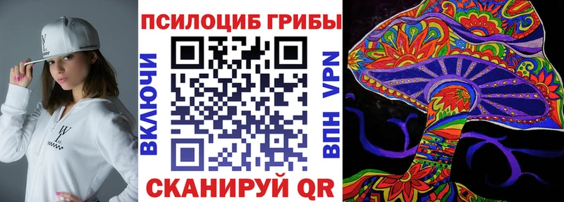 Галлюциногенные грибы Psilocybe  закладки  Новоуральск 